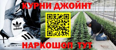 PSILOCYBIN Чебаркуль